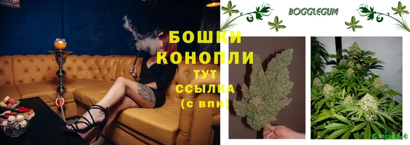 Все наркотики Александров Cocaine  A PVP  МАРИХУАНА  Меф мяу мяу 