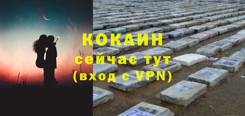 COCAIN Боливия  darknet телеграм  Александров 